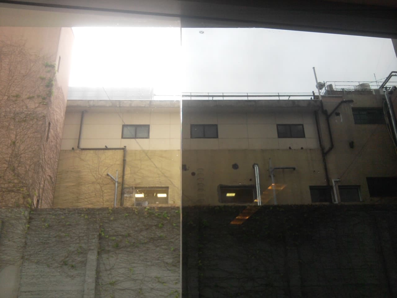 Casas Polarizado de vidrios